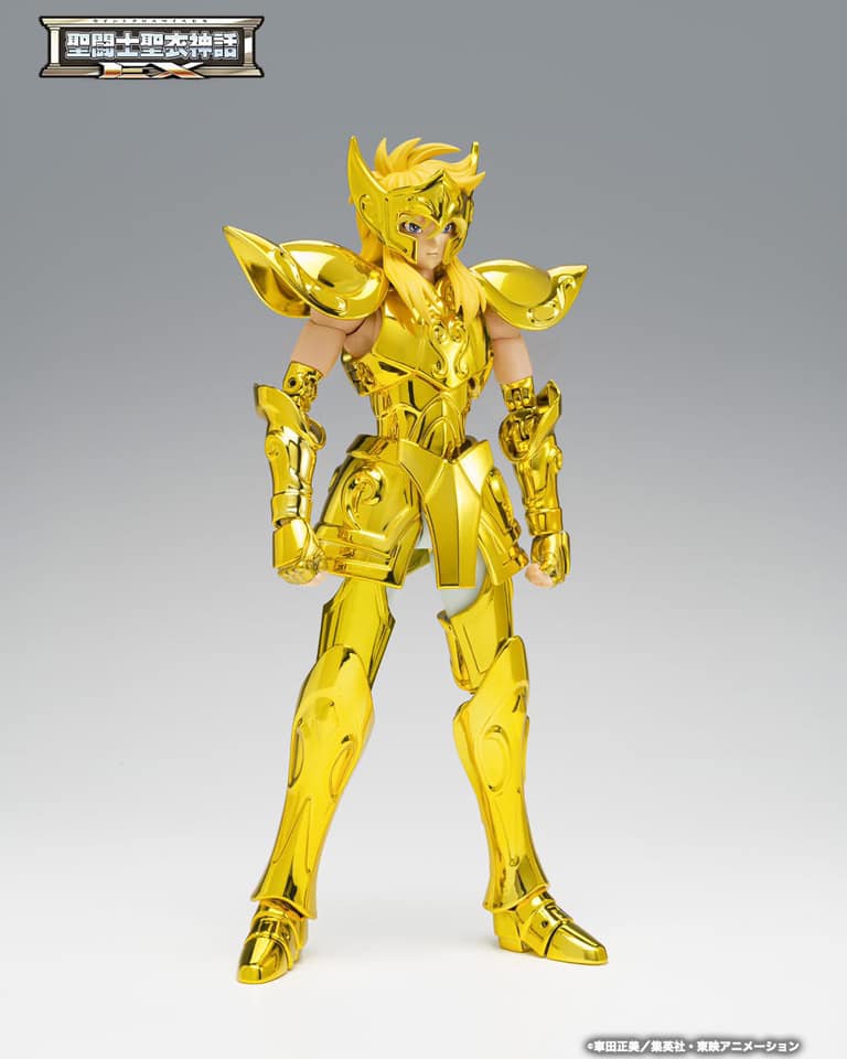 saint cloth myth ex aquarius hyoga