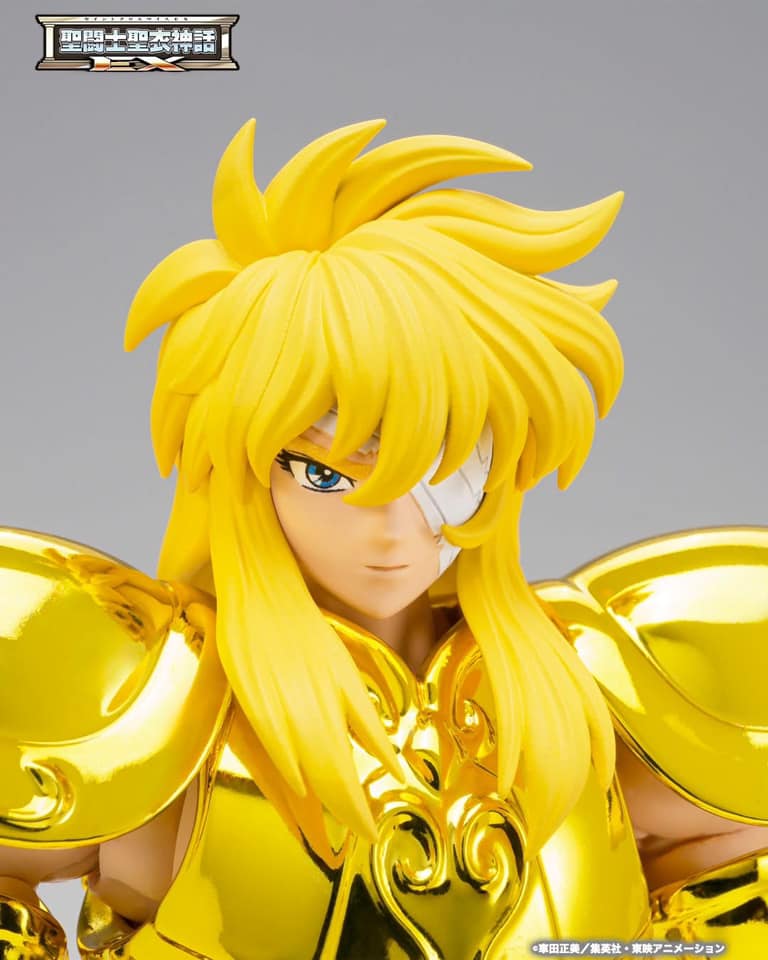 saint cloth myth ex aquarius hyoga