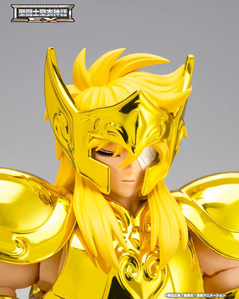 saint cloth myth ex aquarius hyoga