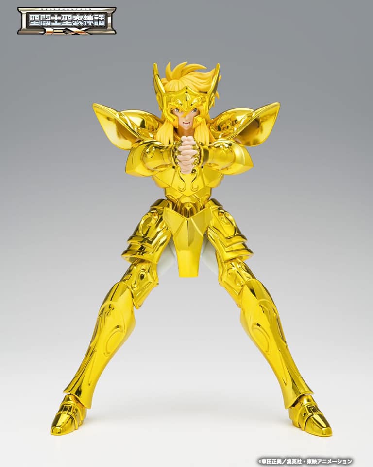 saint cloth myth ex aquarius hyoga