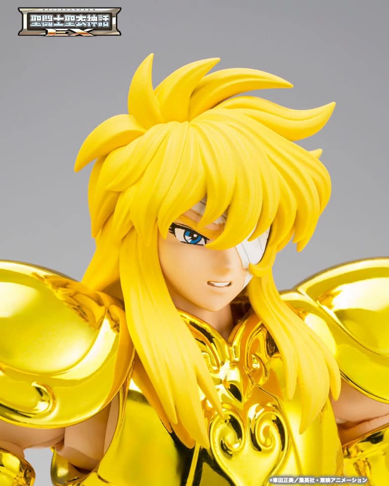 saint cloth myth ex aquarius hyoga