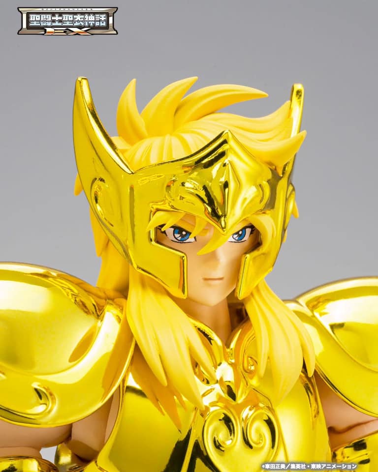 saint cloth myth ex aquarius hyoga