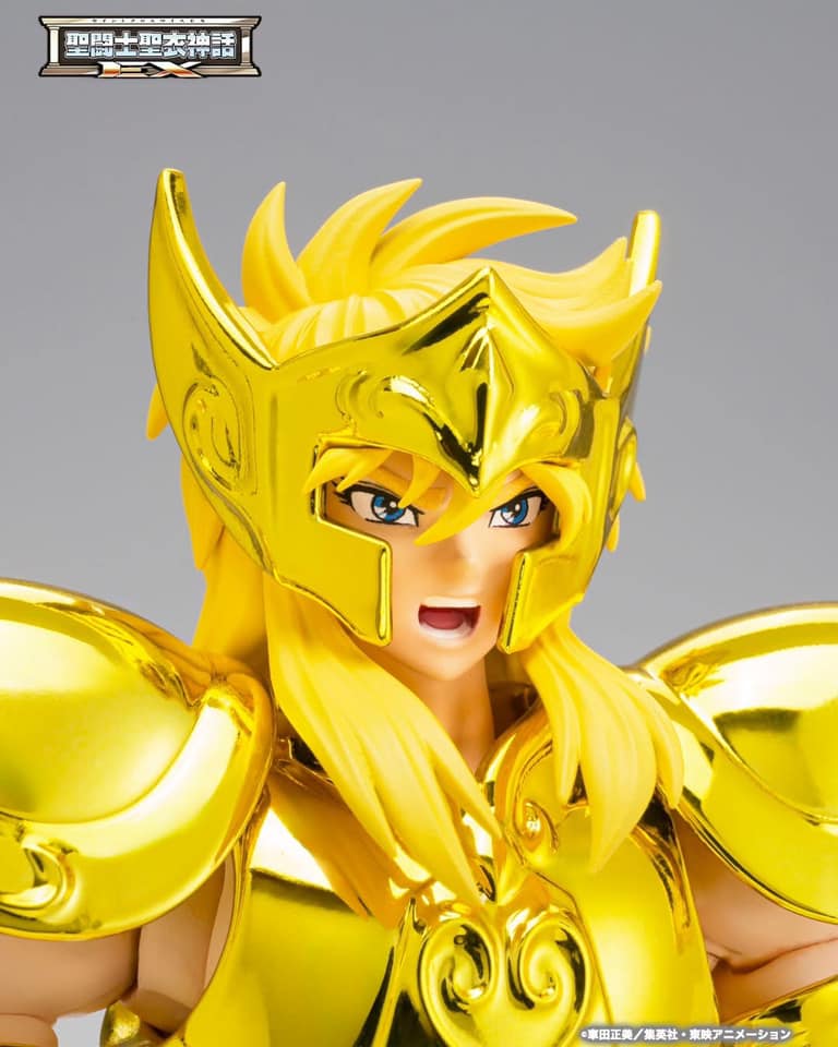 saint cloth myth ex aquarius hyoga